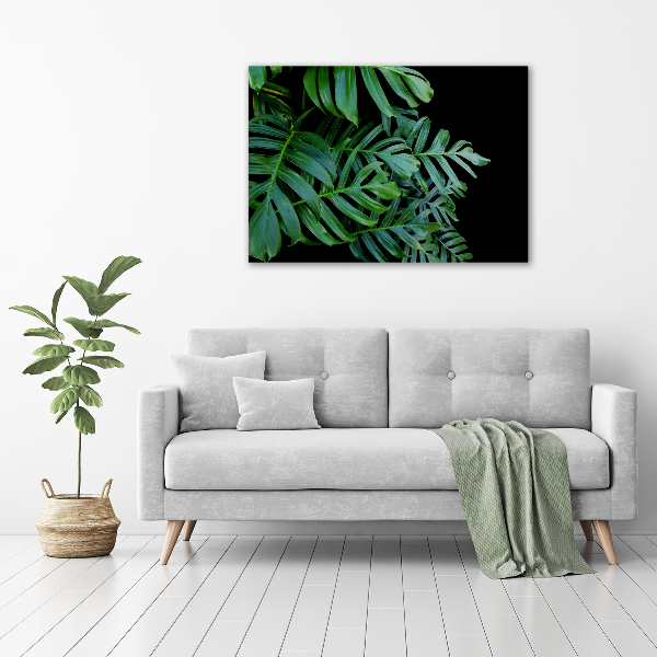 Akrilkép Monstera