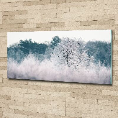 Akril üveg kép Fák télen