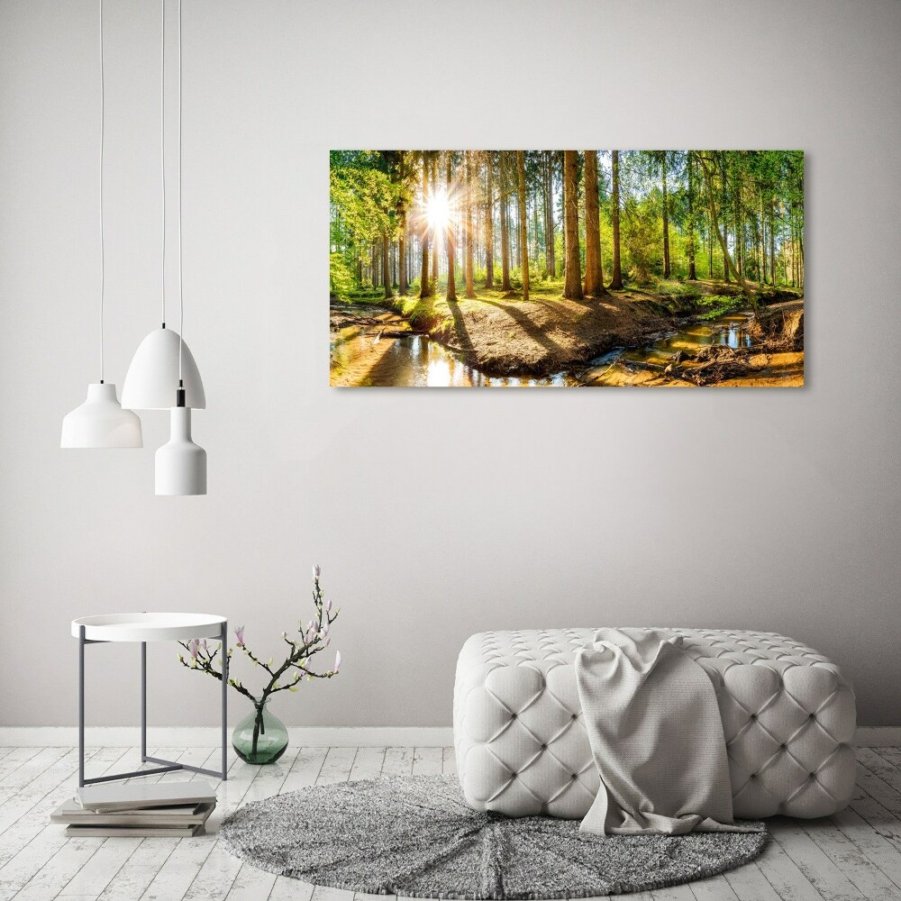 Akril üveg kép Panorama erdő