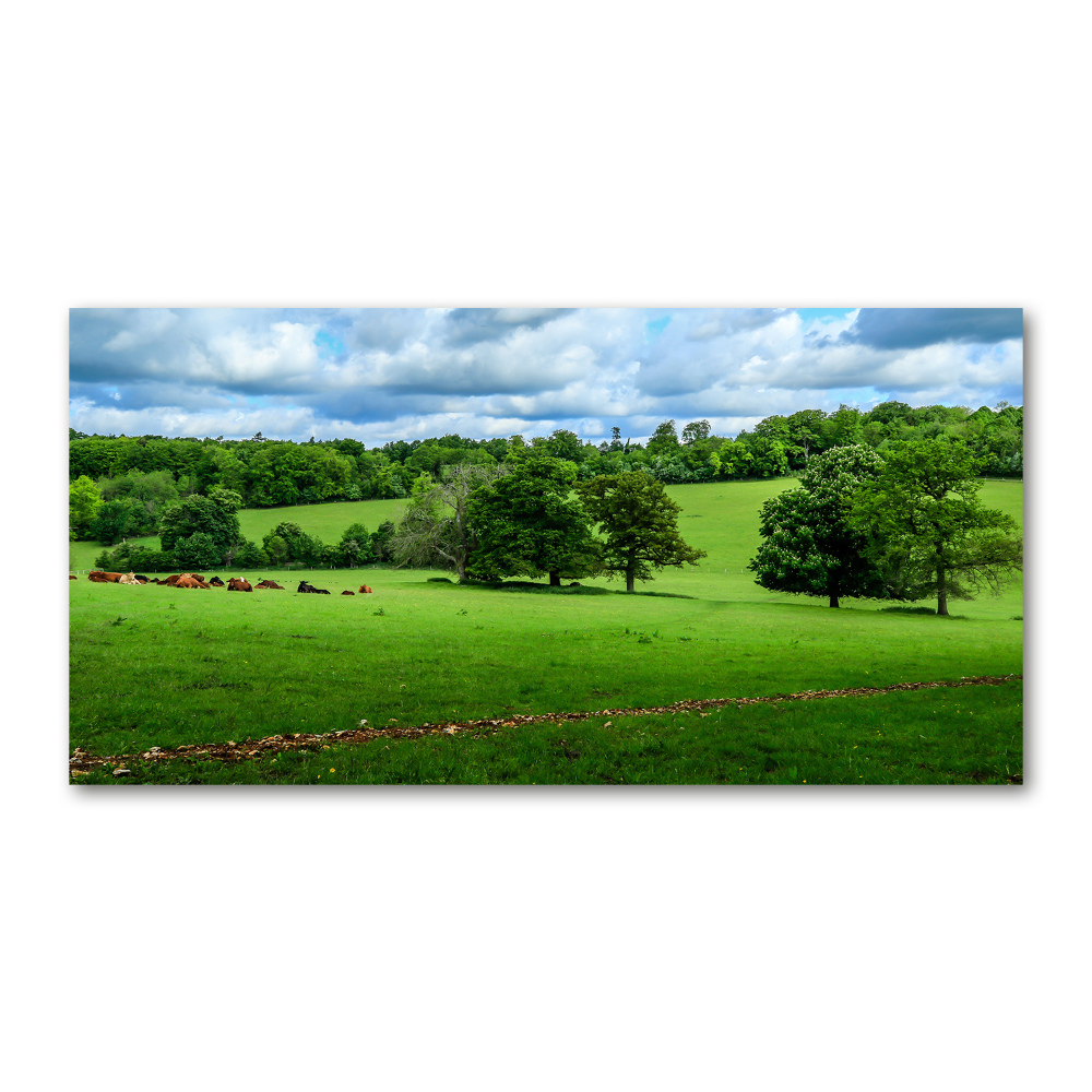 Akril üveg kép Zöld dombok