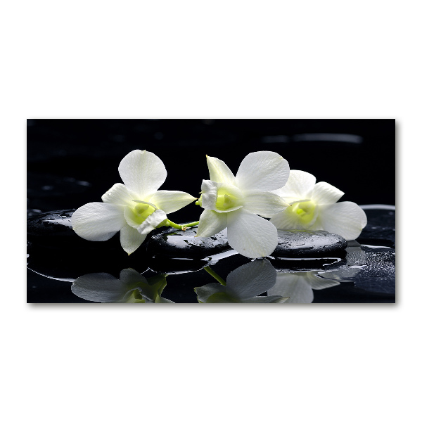 Akrilkép Orchidea