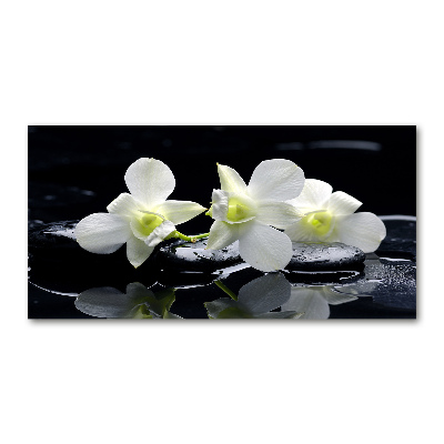 Akrilkép Orchidea