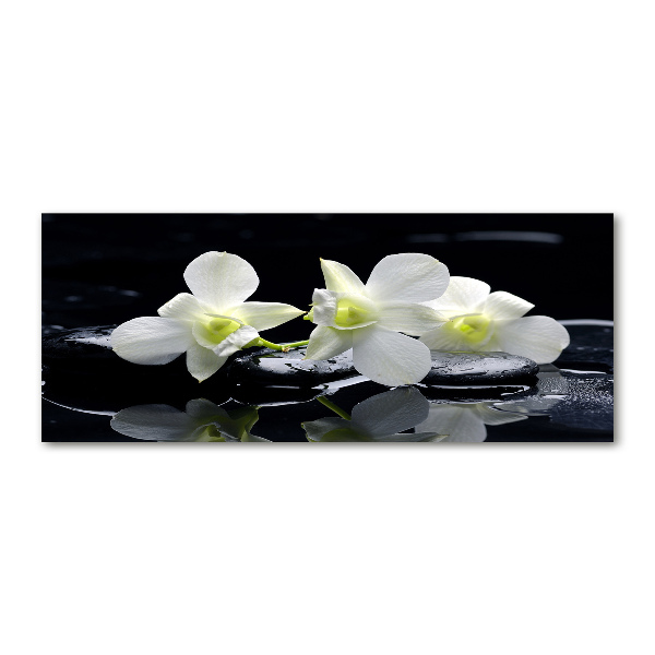 Akrilkép Orchidea