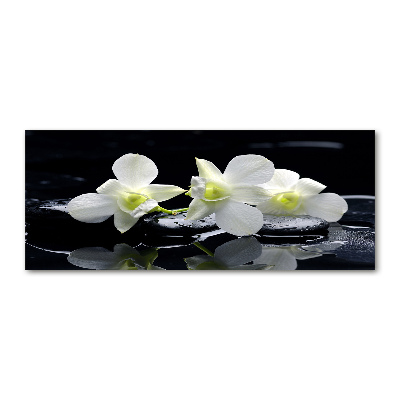 Akrilkép Orchidea