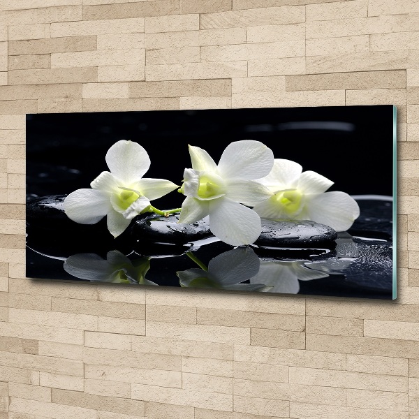 Akrilkép Orchidea