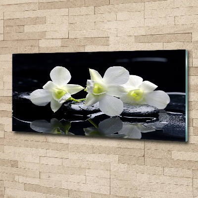 Akrilkép Orchidea