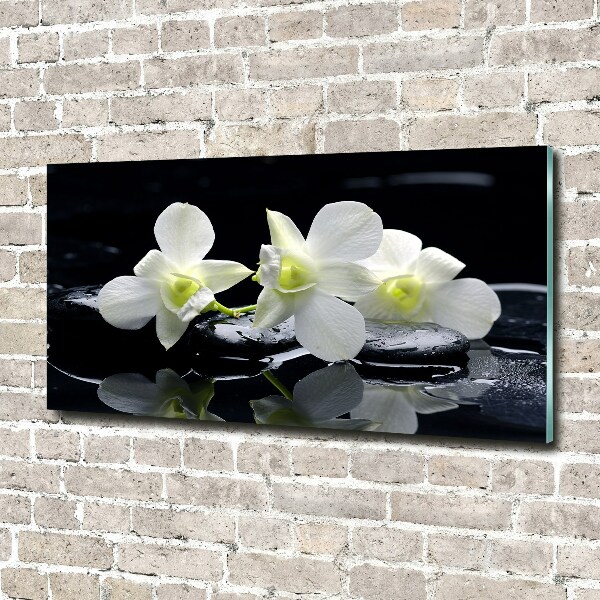 Akrilkép Orchidea