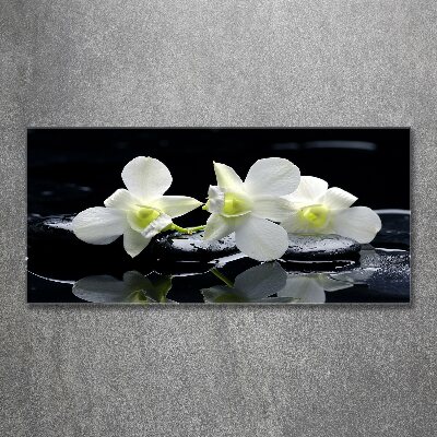 Akrilkép Orchidea