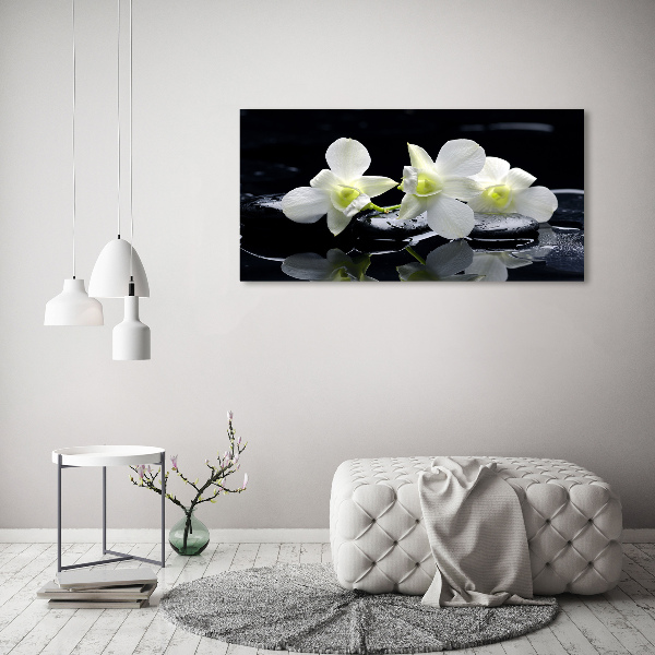 Akrilkép Orchidea