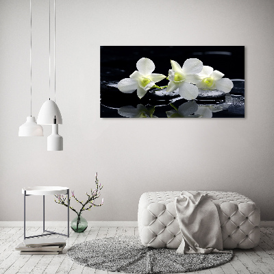 Akrilkép Orchidea