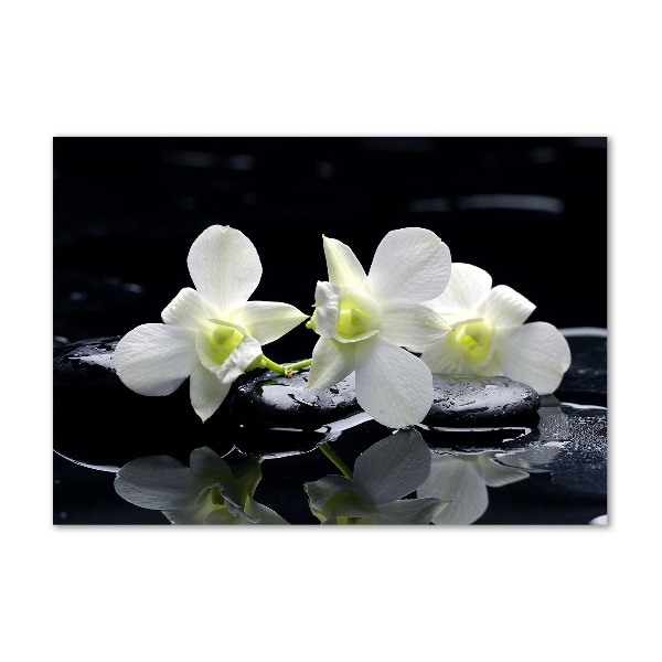 Akrilkép Orchidea