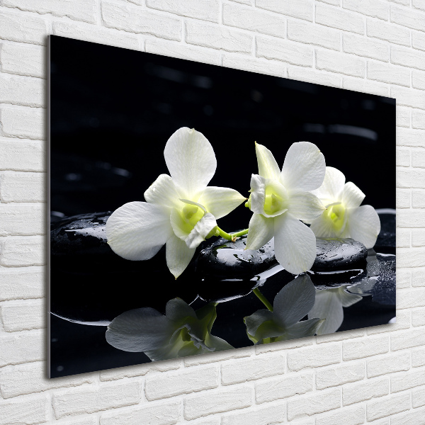 Akrilkép Orchidea