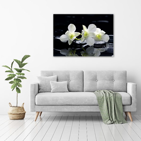 Akrilkép Orchidea