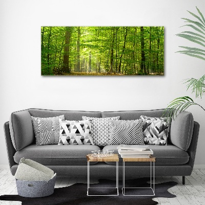 Akril üveg kép Lombhullató erdő