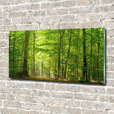 Akril üveg kép Lombhullató erdő