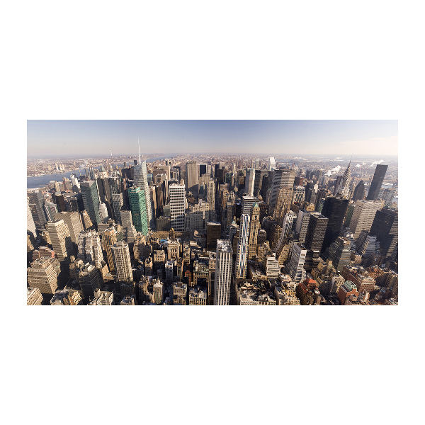 Akrilüveg fotó New york-i járat madár