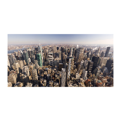 Akrilüveg fotó New york-i járat madár