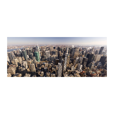 Akrilüveg fotó New york-i járat madár