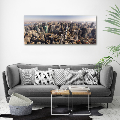 Akrilüveg fotó New york-i járat madár