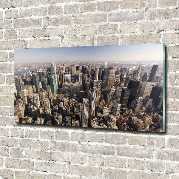 Akrilüveg fotó New york-i járat madár