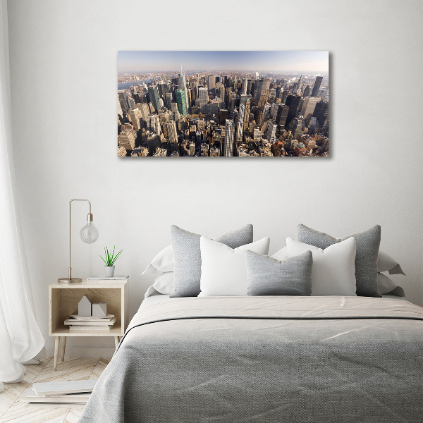 Akrilüveg fotó New york-i járat madár