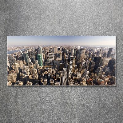 Akrilüveg fotó New york-i járat madár