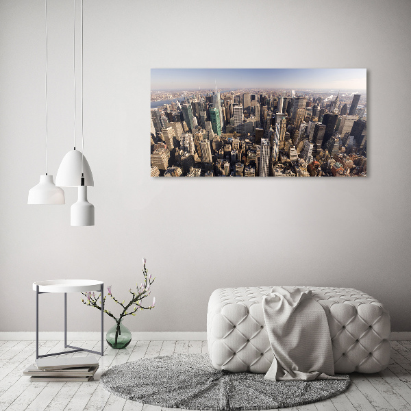 Akrilüveg fotó New york-i járat madár