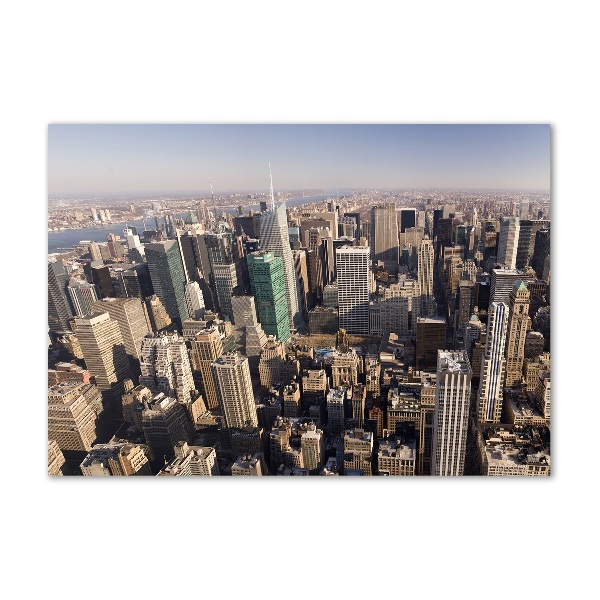 Akrilüveg fotó New york-i járat madár