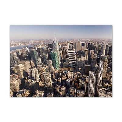 Akrilüveg fotó New york-i járat madár