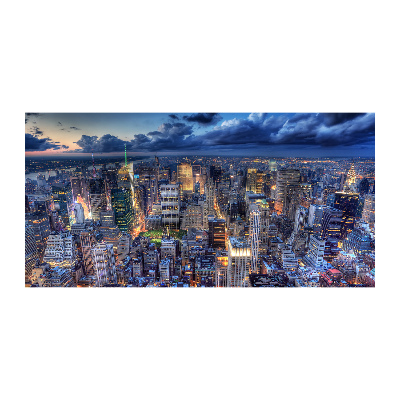 Akrilüveg fotó New york-i járat madár