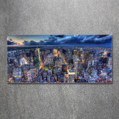 Akrilüveg fotó New york-i járat madár