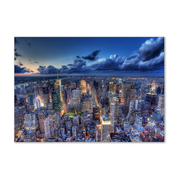 Akrilüveg fotó New york-i járat madár