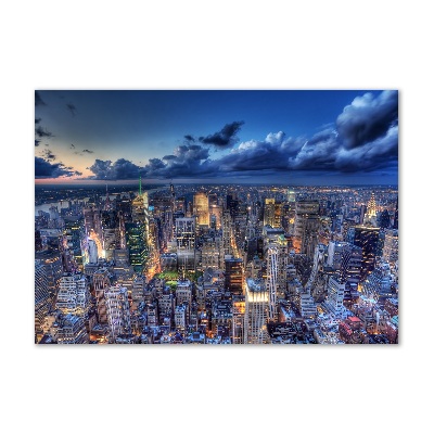Akrilüveg fotó New york-i járat madár