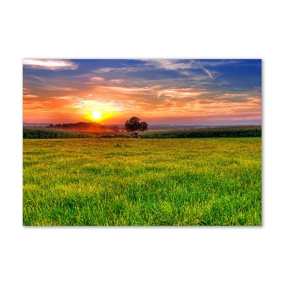 Akril üveg kép Sunset meadow