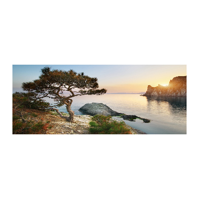 Akril üveg kép Fa a tenger
