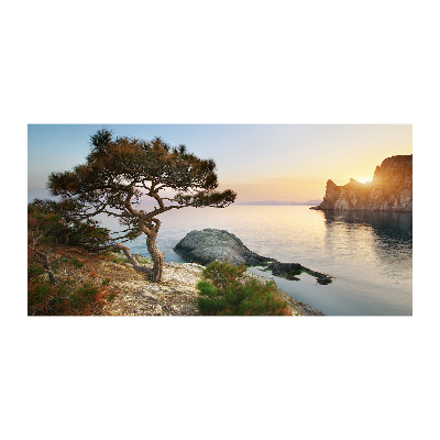 Akril üveg kép Fa a tenger