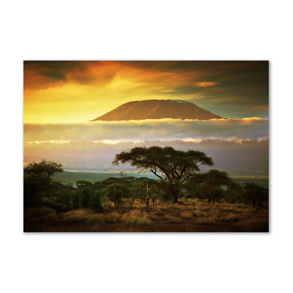 Akril üveg kép Kilimanjaro kenya