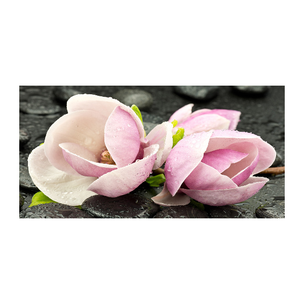 Akrilkép Magnolia zen stone-