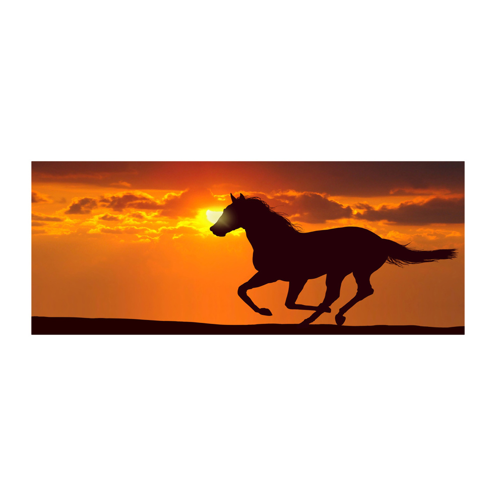 Akrilkép Ló naplemente