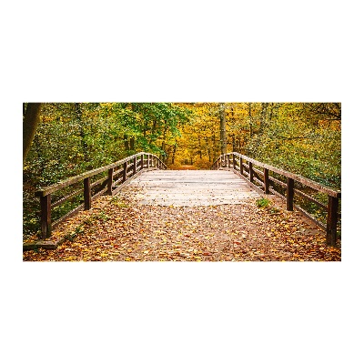 Akril üveg kép Híd az őszi erdőben