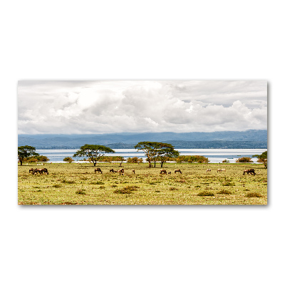 Akril üveg kép Lake naivasha