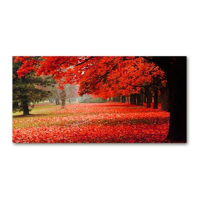 Akrilkép Fák ősszel