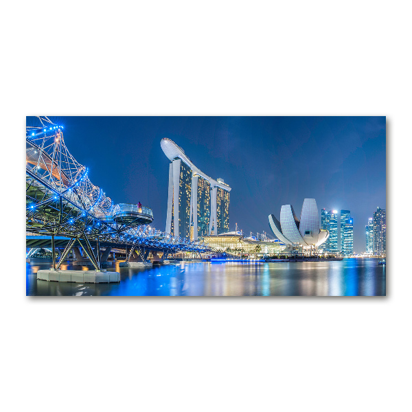 Akril üveg kép Singapore éjjel