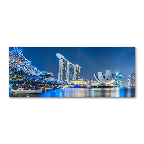Akril üveg kép Singapore éjjel