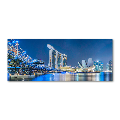 Akril üveg kép Singapore éjjel