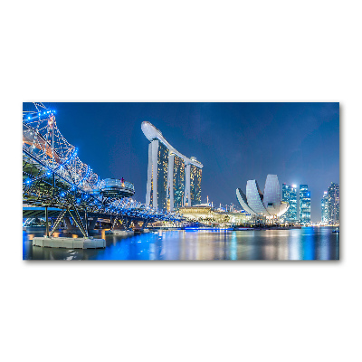 Akril üveg kép Singapore éjjel