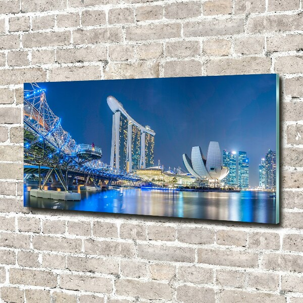 Akril üveg kép Singapore éjjel