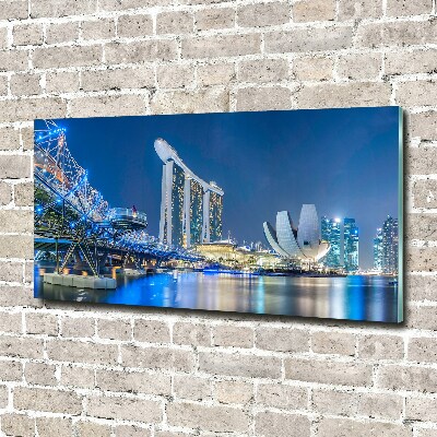 Akril üveg kép Singapore éjjel