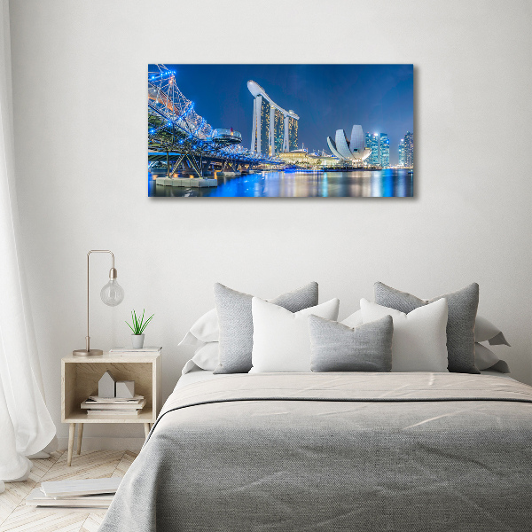 Akril üveg kép Singapore éjjel