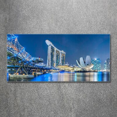 Akril üveg kép Singapore éjjel